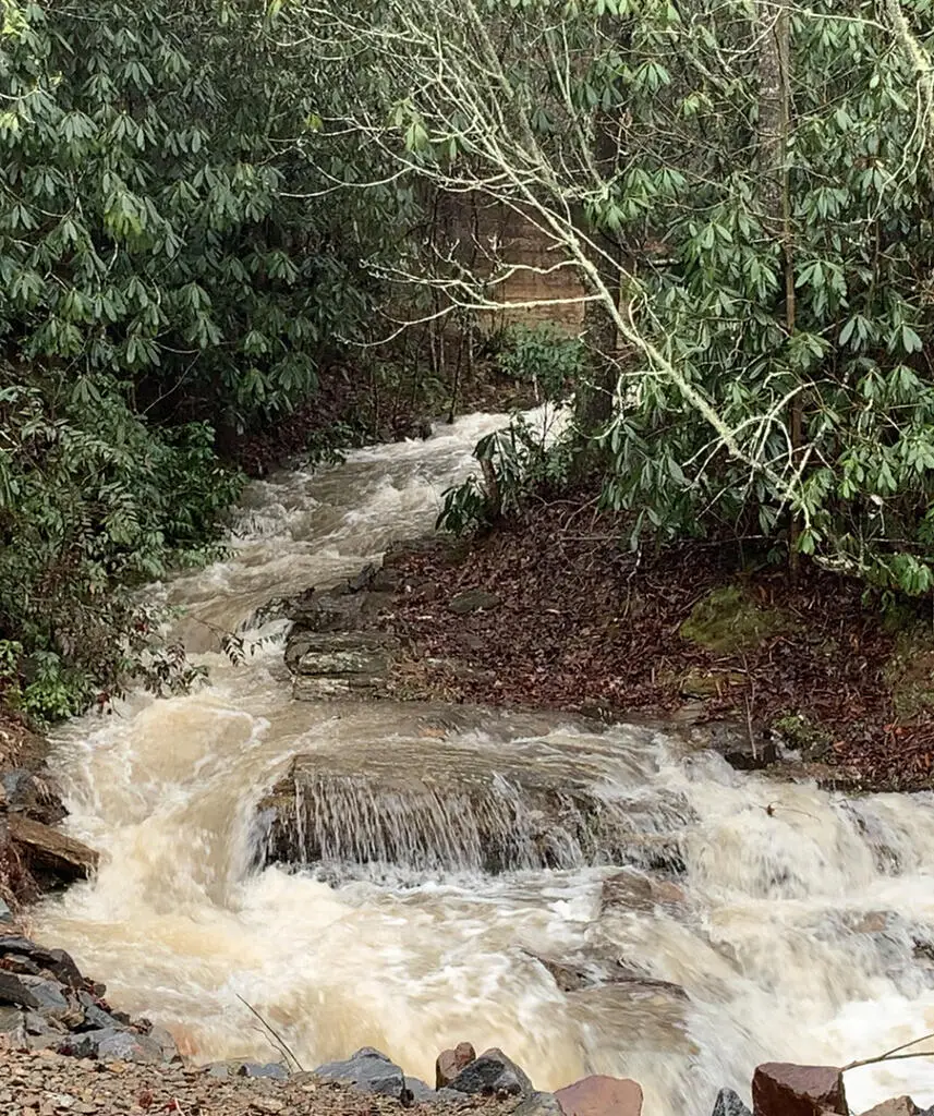 Lot 5 Wild Laurel, Brasstown, NC 28902 - #2