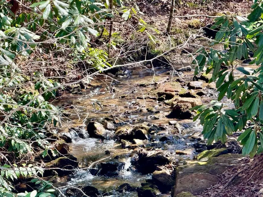 Lot 5 Wild Laurel, Brasstown, NC 28902 - #3