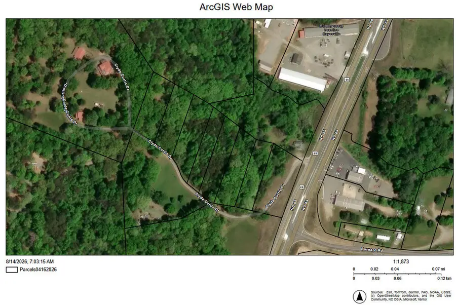 10 Clyde Curtis Drive, Hayesville, NC 28904 - #3