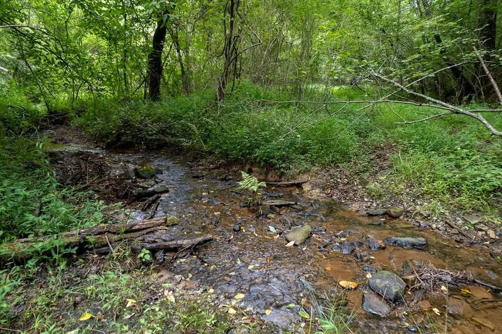 13.59 AC Ridgeway Church Road, Ellijay, GA 30540 - #1