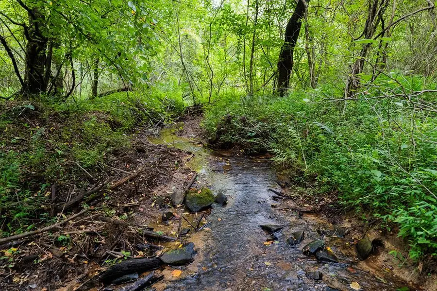 13.59 AC Ridgeway Church Road, Ellijay, GA 30540 - #2