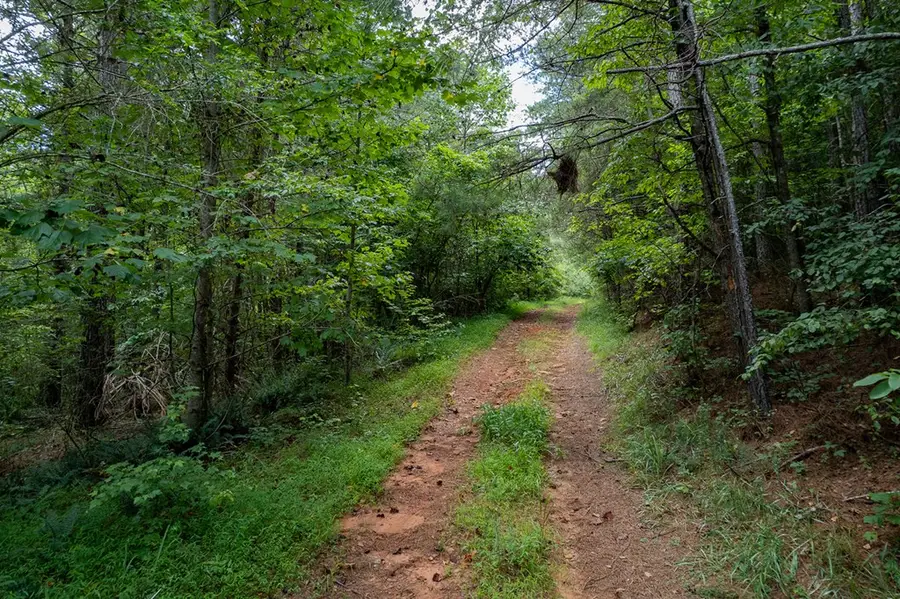 13.59 AC Ridgeway Church Road, Ellijay, GA 30540 - #3