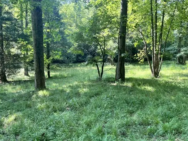 lot 9 S Dogwood, Hayesville, NC 28904 - #1