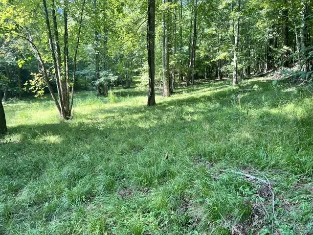 lot 9 S Dogwood, Hayesville, NC 28904 - #2