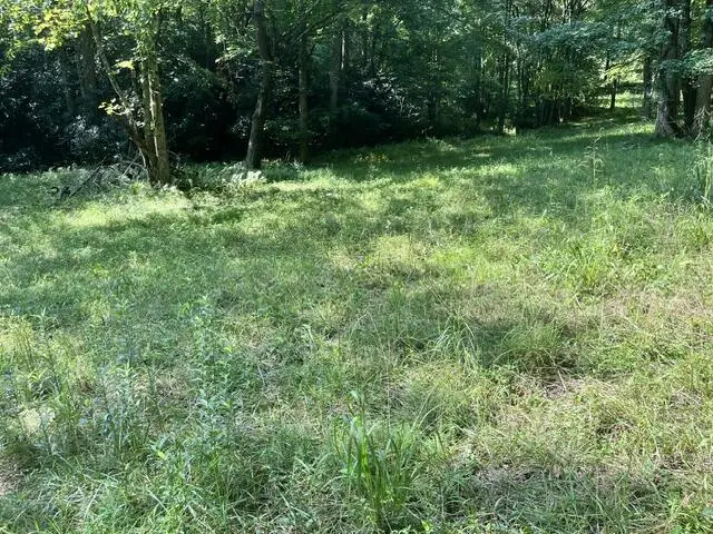 lot 9 S Dogwood, Hayesville, NC 28904 - #3