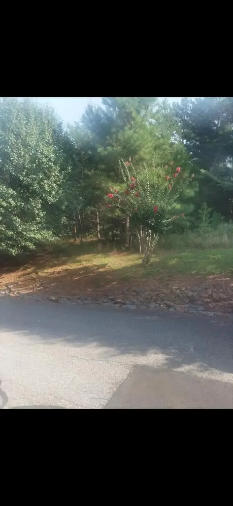 00 Dasali Way, Murphy, NC 28906
