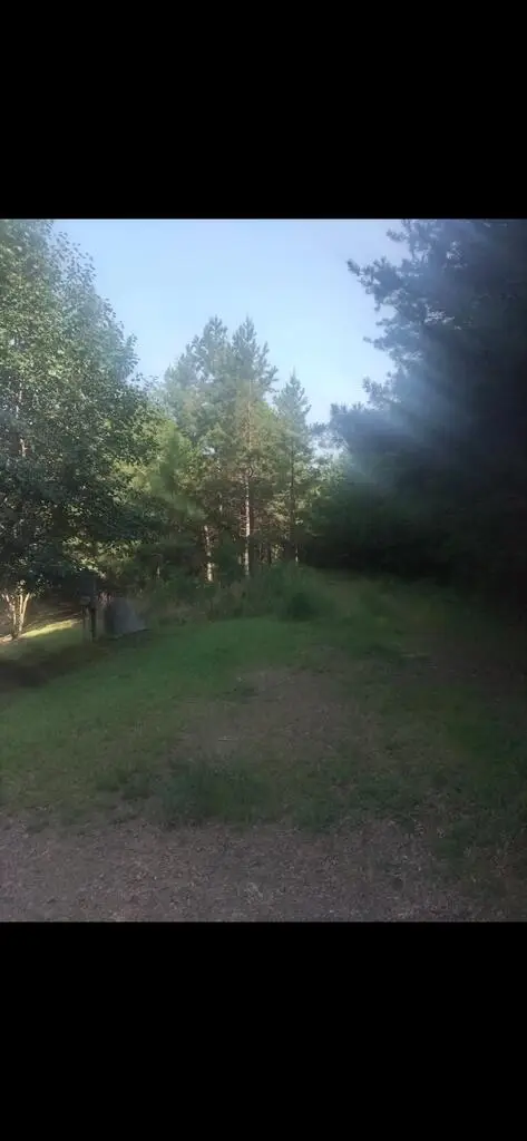 00 Dasali Way, Murphy, NC 28906 - #3