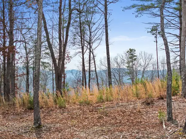 Lot 162 Ridge Drive, Morganton, GA 30560