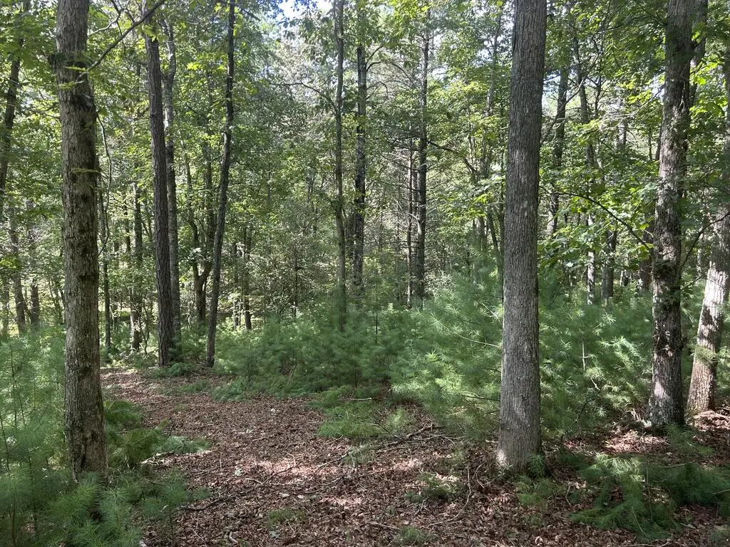Lt 62 Harmony Way, Morganton, GA 30560 - #1