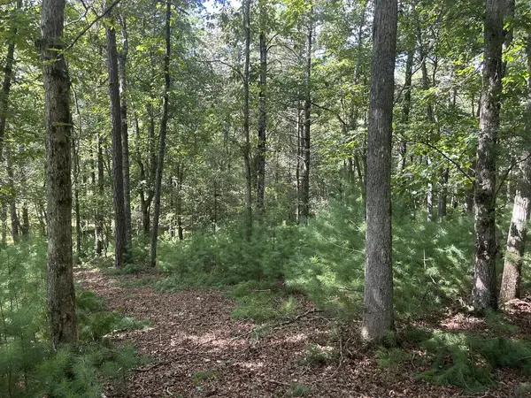 Lt 62 Harmony Way, Morganton, GA 30560