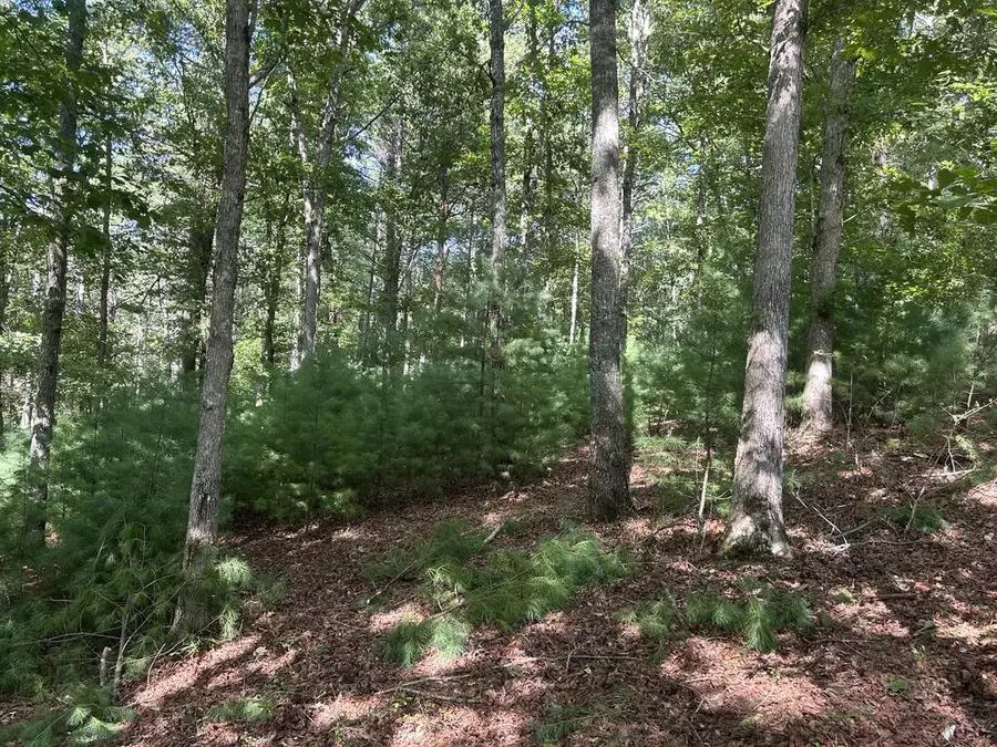 Lt 62 Harmony Way, Morganton, GA 30560 - #2