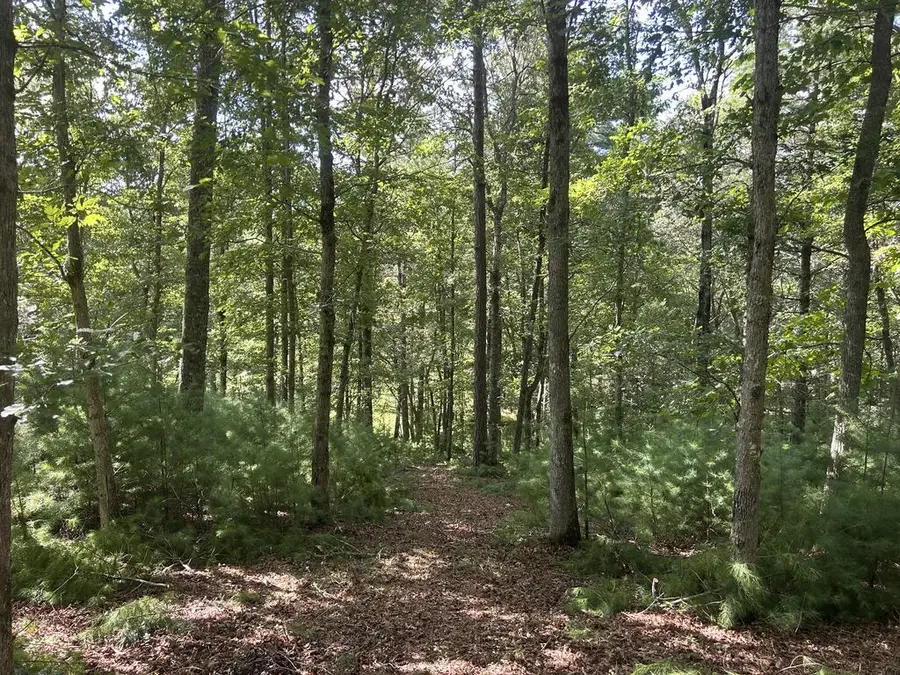 Lt 63 Harmony Way, Morganton, GA 30560 - #3