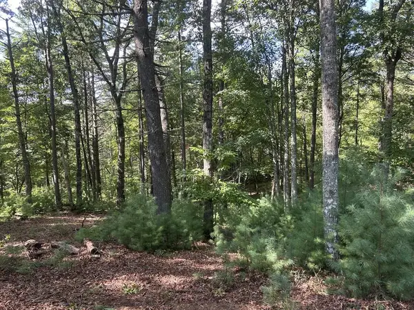 Lt 64 Harmony Way, Morganton, GA 30560