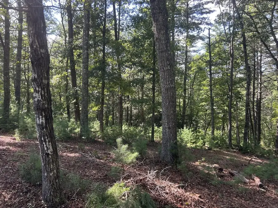 Lt 64 Harmony Way, Morganton, GA 30560 - #2