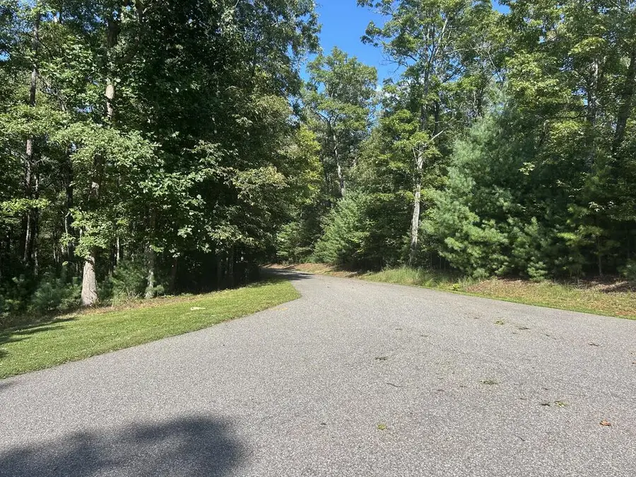 Lt 64 Harmony Way, Morganton, GA 30560 - #3