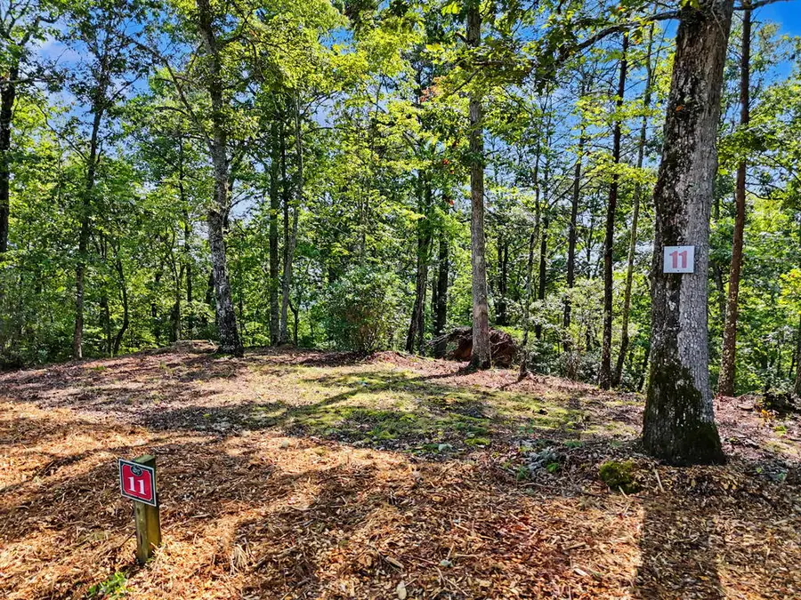 Lot 11 Brasstown Trails, Warne, NC 28909 - #2
