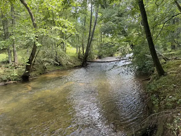 Lot 45 Gobbler Knob, Suches, GA 30572