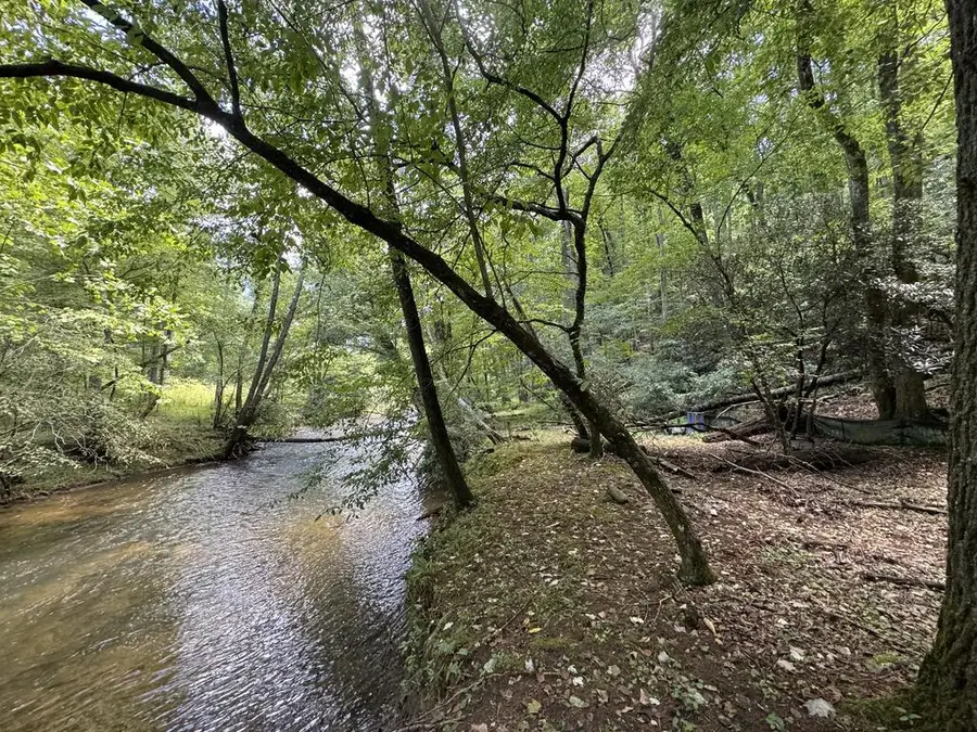 Lot 45 Gobbler Knob, Suches, GA 30572 - #2