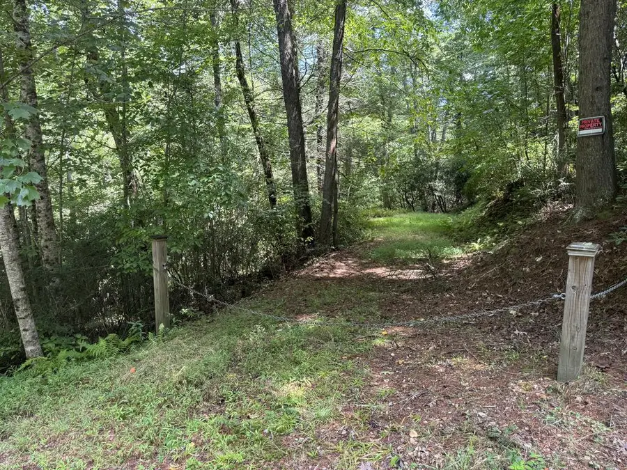Lot 45 Gobbler Knob, Suches, GA 30572 - #3