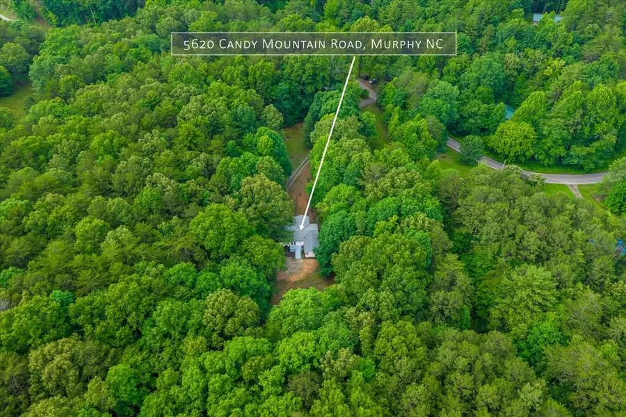 5620 Candy Mountain Rd, Murphy, NC 28906 - #3