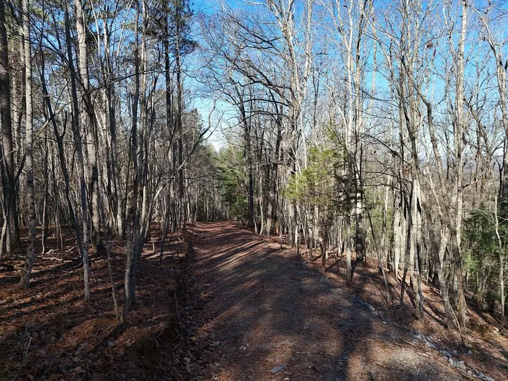 Tract D Carriage Lane Nw, Blairsville, GA 30512 - #1