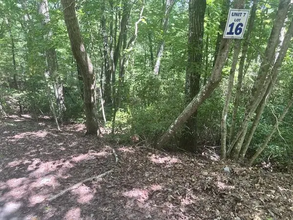 16 S Dogwood, Hayesville, NC 28904