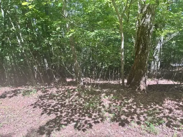 17 E Dogwood, Hayesville, NC 28904