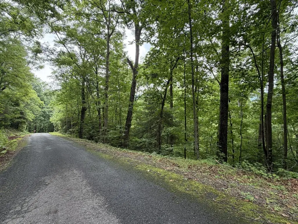 4.63 Twiggs Road, Hiawassee, GA 30546 - #1