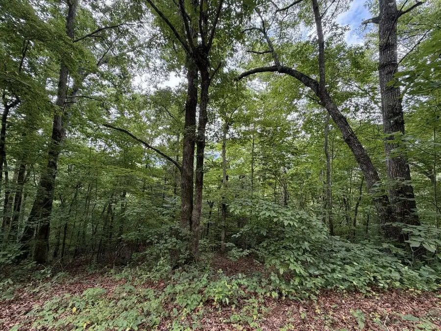 4.63 Twiggs Road, Hiawassee, GA 30546 - #2