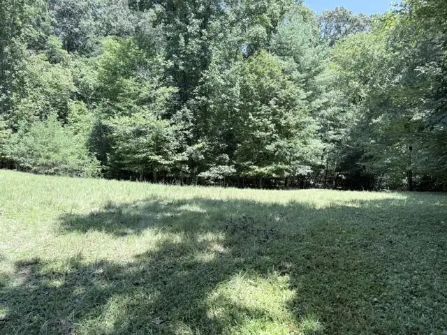 00 Jonquil Lane, Hayesville, NC 28904 - #2