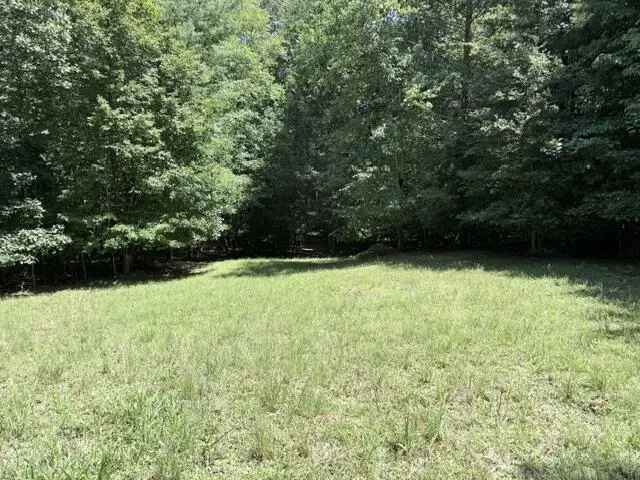 00 Jonquil Lane, Hayesville, NC 28904 - #3
