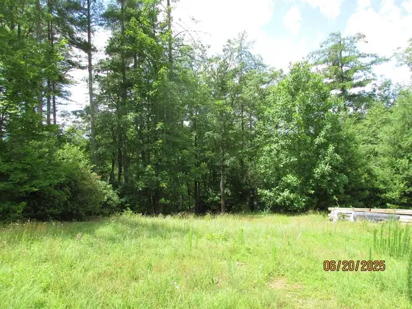 #10 Shelton Springs S/d, Hayesville, NC 28904