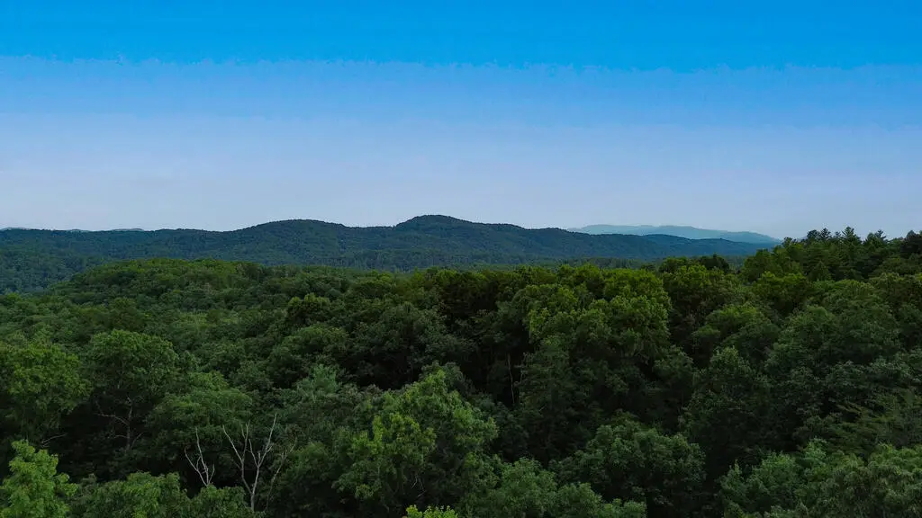 Lot 6 Tiffany Lane, Mineral Bluff, GA 30559 - #1