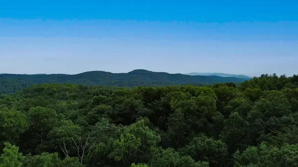 Lot 6 Tiffany Lane, Mineral Bluff, GA 30559
