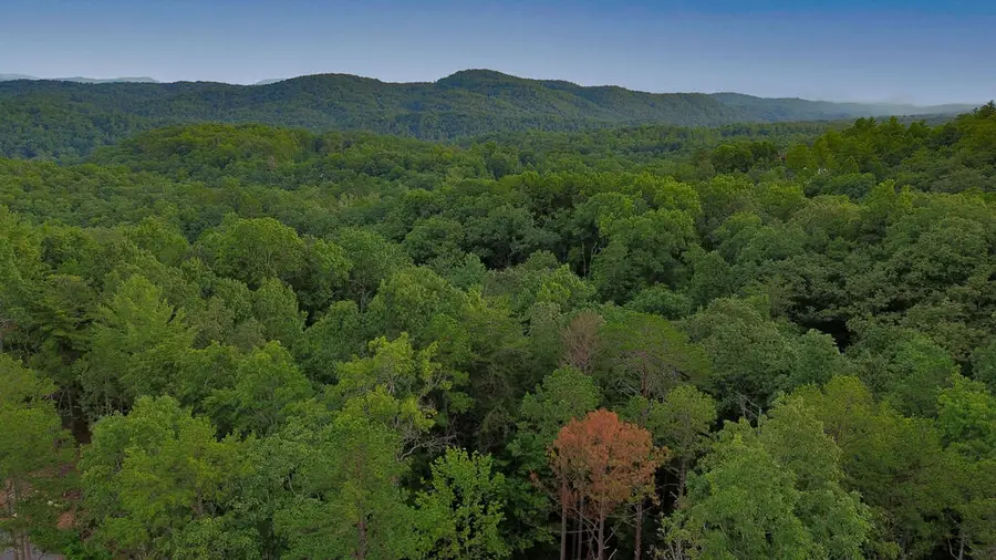 Lot 6 Tiffany Lane, Mineral Bluff, GA 30559 - #2