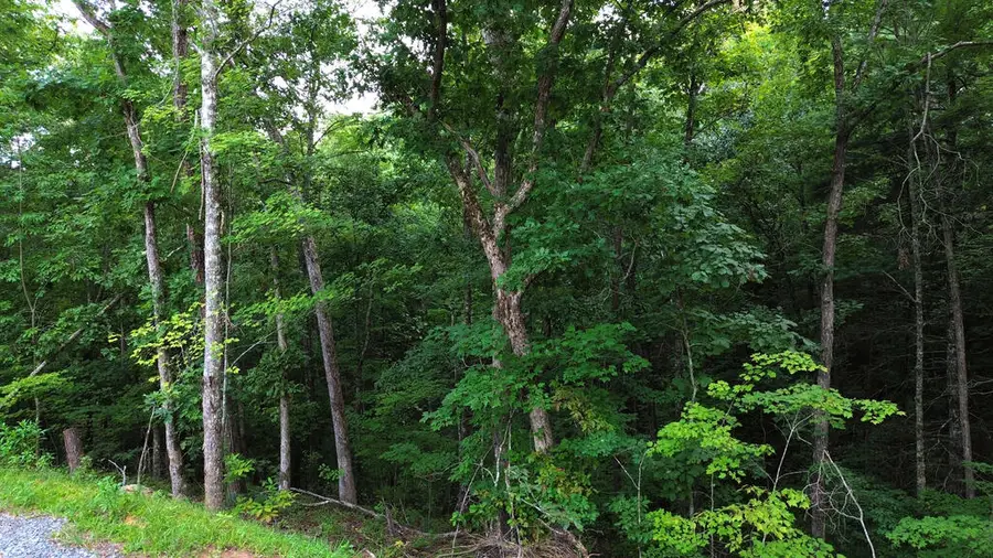 Lot 6 Tiffany Lane, Mineral Bluff, GA 30559 - #3