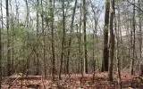 4,5&6 Mountain Wood Drive, Murphy, NC 28906