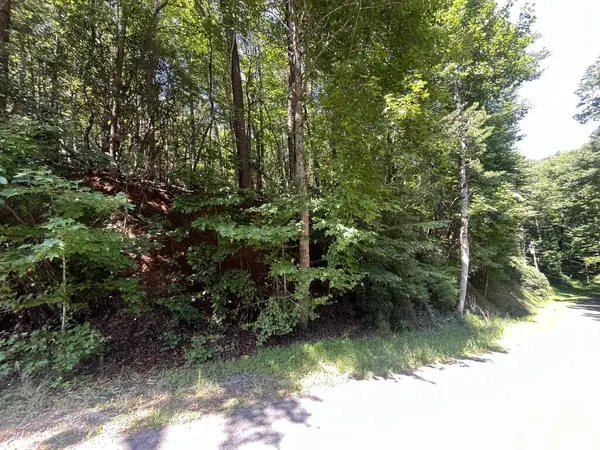 P 10 Gold Mine Drive, Ellijay, GA 30536