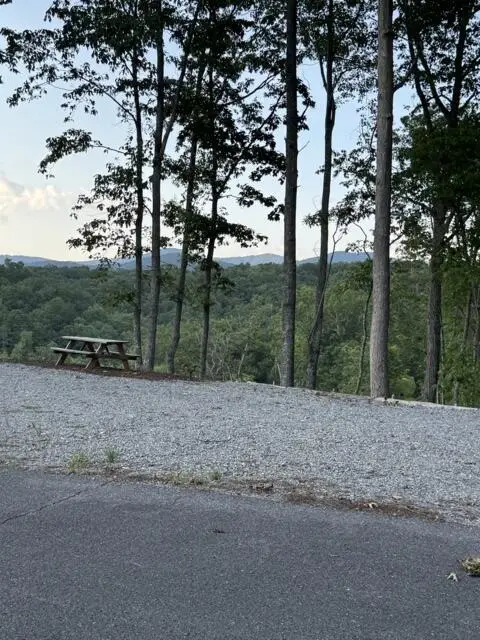 290 Eagle View Drive, Ellijay, GA 30540 - #1