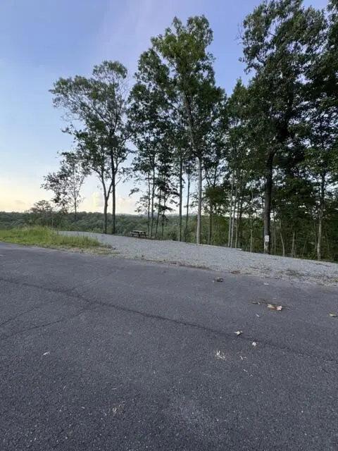 290 Eagle View Drive, Ellijay, GA 30540 - #2