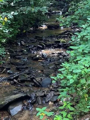 00 Seven Springs Road, Ellijay, GA 30540 - #1