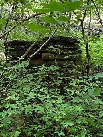 00 Seven Springs Road, Ellijay, GA 30540 - #3