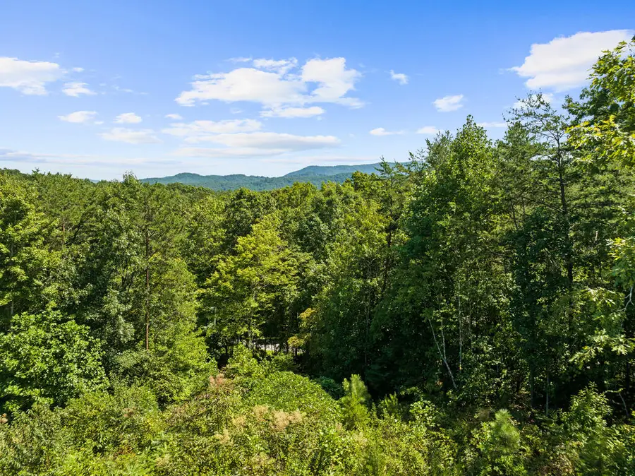 Lot 26 Staurolite Mountain Road, Blue Ridge, GA 30513 - #3