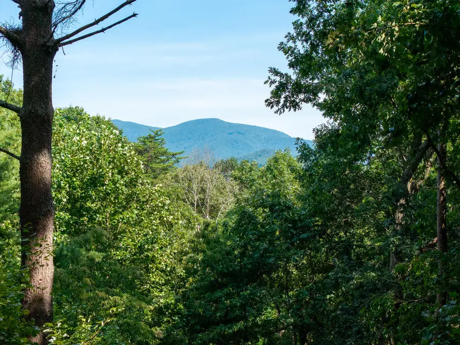 358 North Ridge Drive, Ellijay, GA 30540 - #3