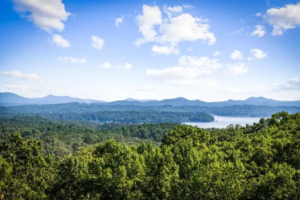 191 Green Ridge Road, Blue Ridge, GA 30513