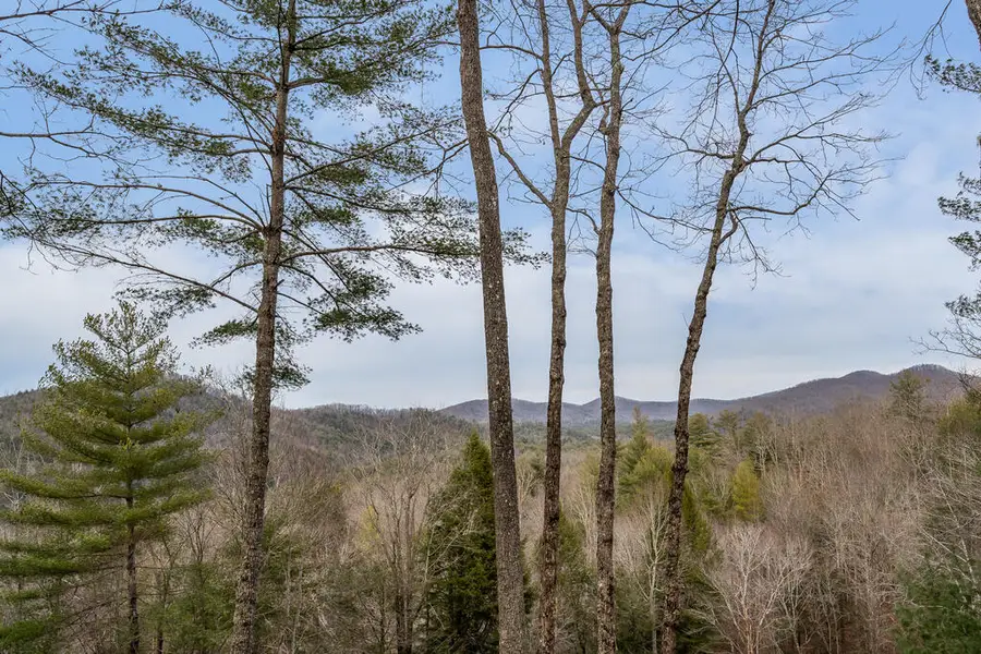 131 Toccoa Overlook Lane, Blue Ridge, GA 30513 - #2