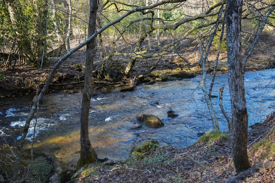 1760 Big Creek Road, Blue Ridge, GA 30522 - #2