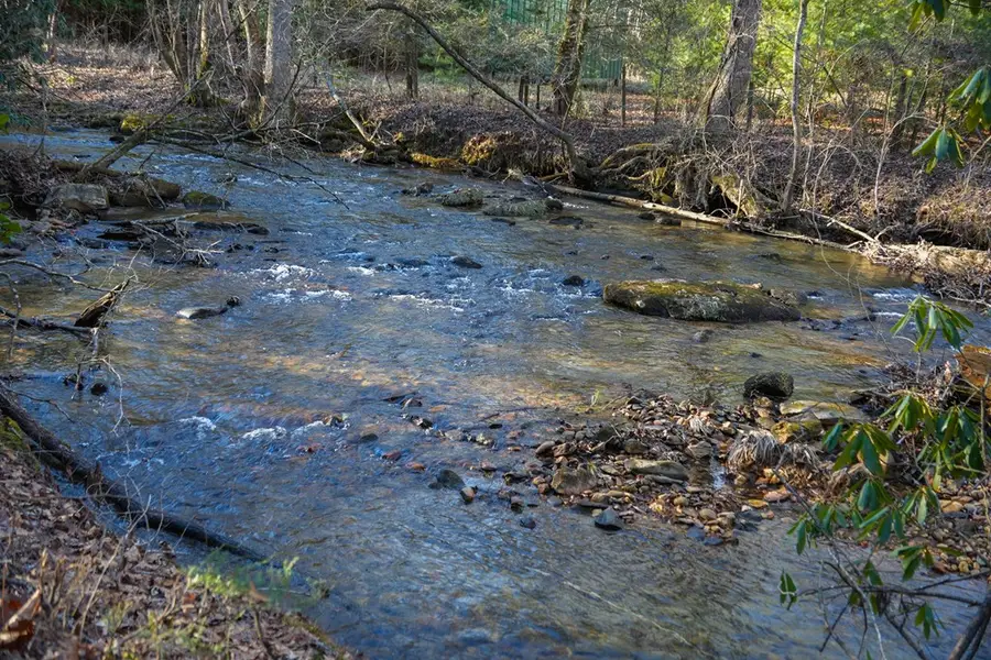 1760 Big Creek Road, Blue Ridge, GA 30522 - #3