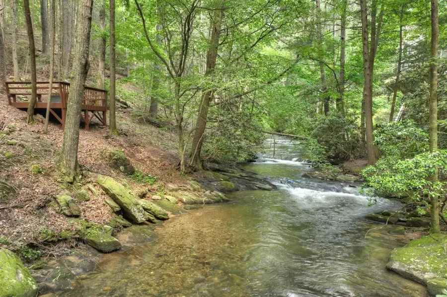 335 Goldmine Drive, Ellijay, GA 30536 - #3