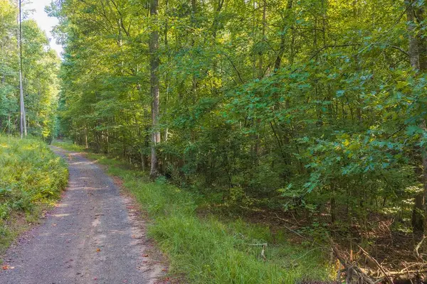 0 Wildwood Trail, Talking Rock, GA 30175